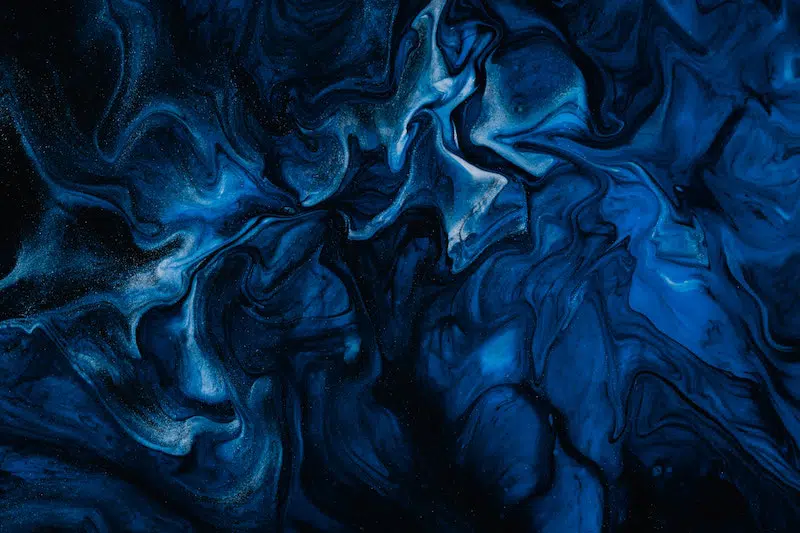 elles sont bleues fonces bleu fonce orthographe