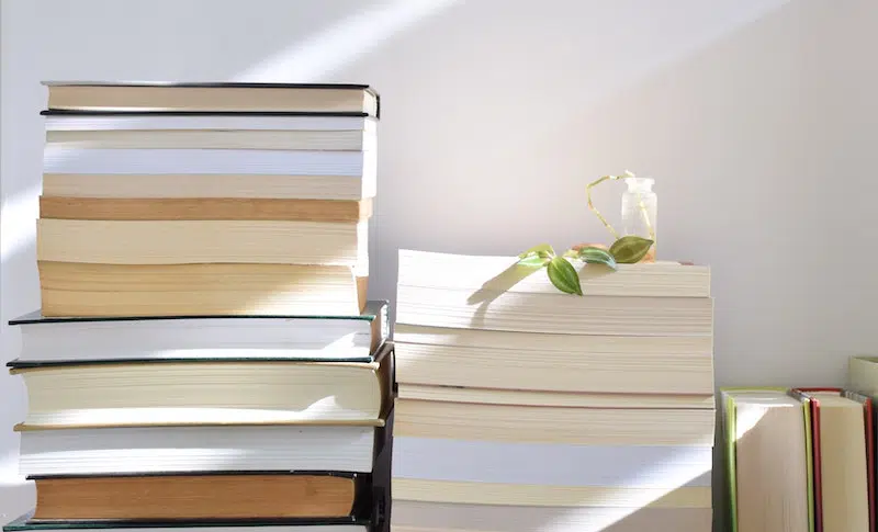 il y en a partout il y en a de partout correct