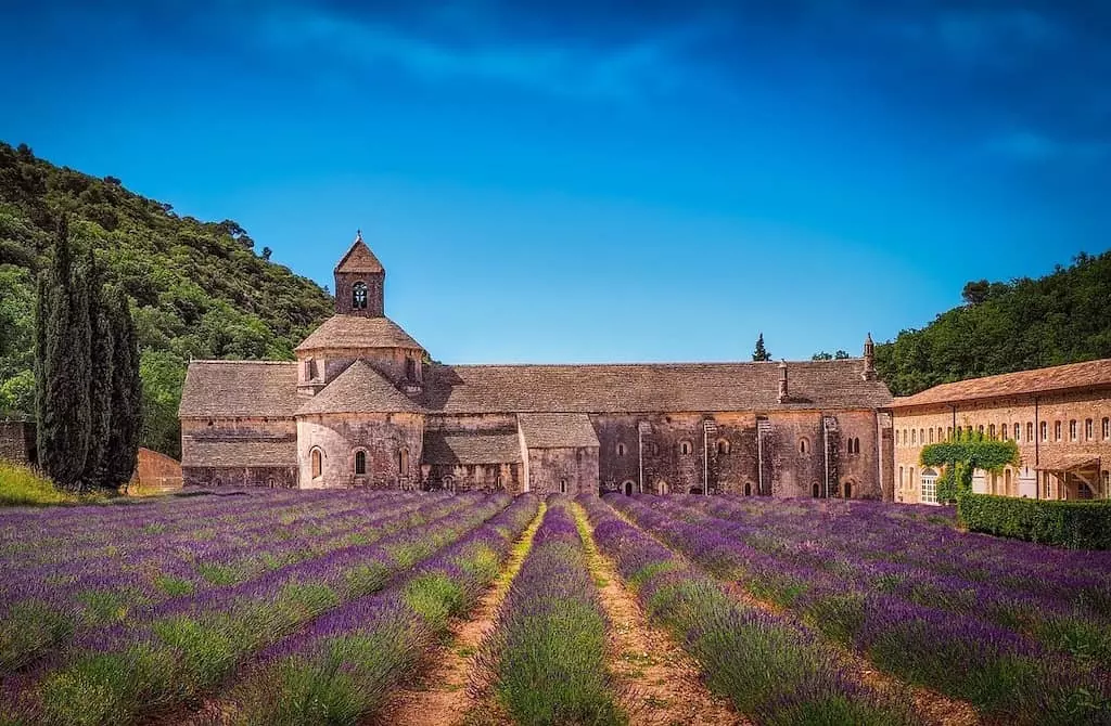 abbaye de senanque