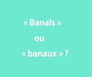 « Banals » ou « banaux »